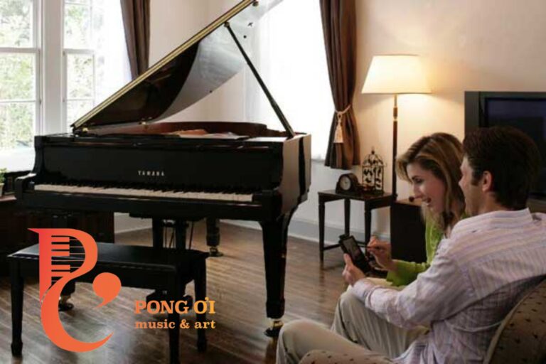 Giới thiệu về đàn piano cơ