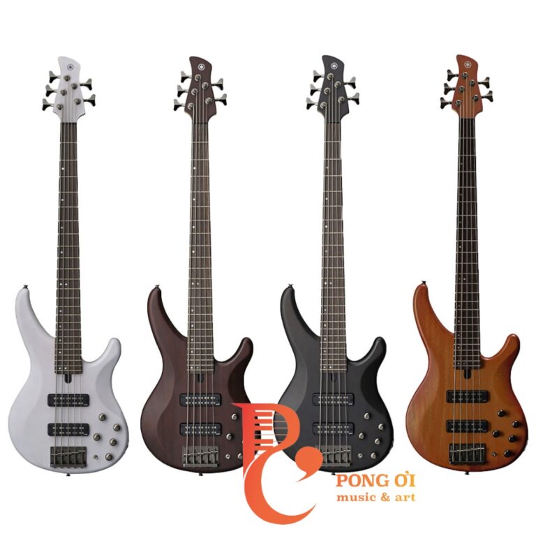 Trong hướng dẫn chơi guitar bạn cần phải nắm được các dây đàn